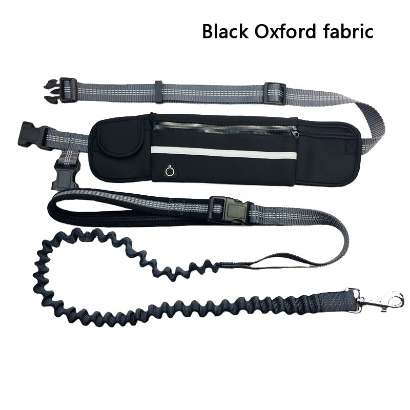 Reflective Hands Free Elastic Belt Pet Leash set with Waste Bag