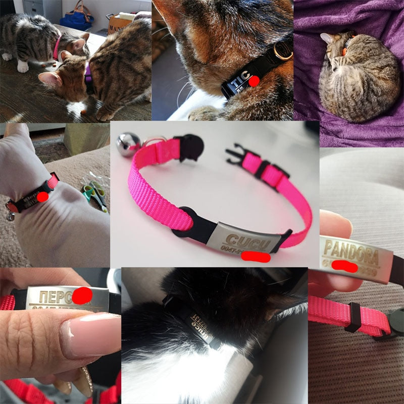 Adjustable Safety Breakaway Personalized Pet Collar