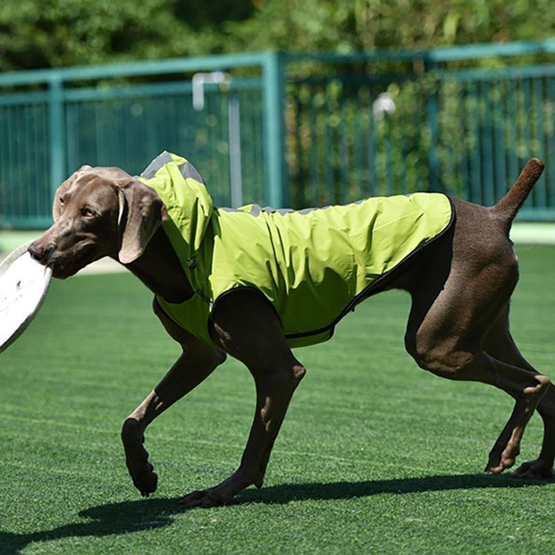 Waterproof Dog Jacket