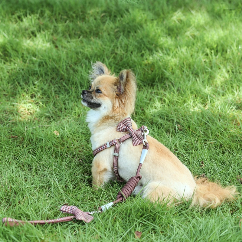 Adjustale Soft Pet Harness and Leash Collar Set