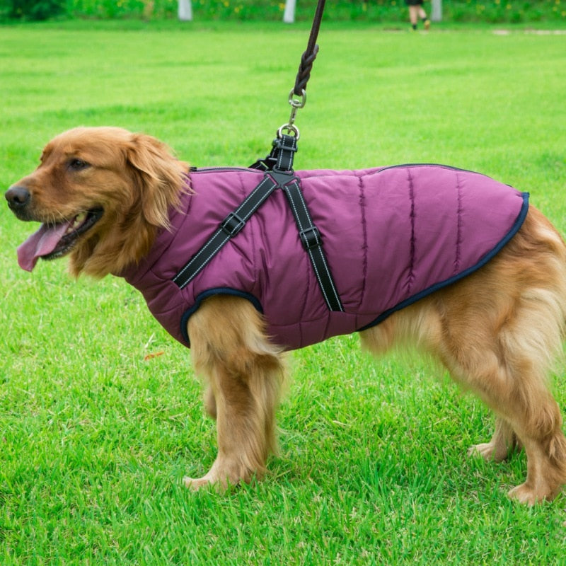 Winter Waterproof jacket With Harness for Dog