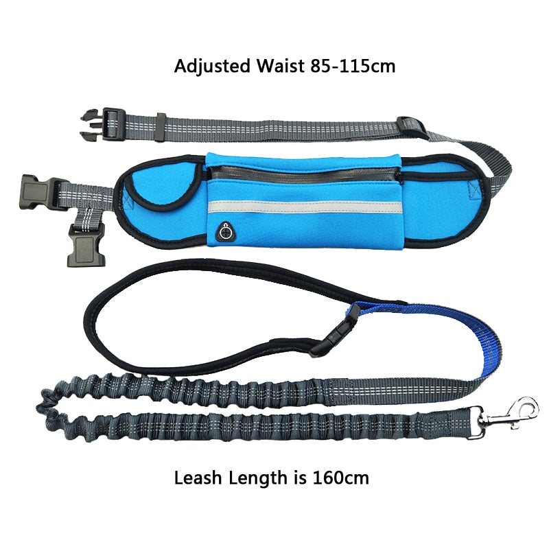 Reflective Hands Free Elastic Belt Pet Leash set with Waste Bag