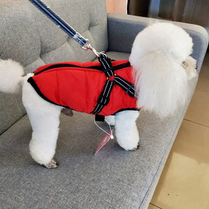 Winter Waterproof jacket With Harness for Dog