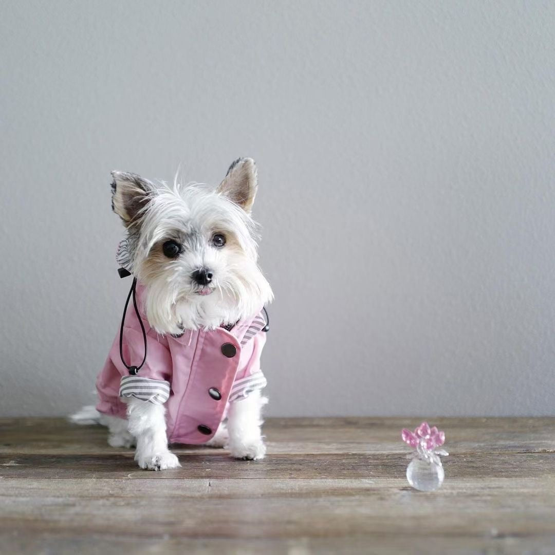 Waterproof Pet Jacket f