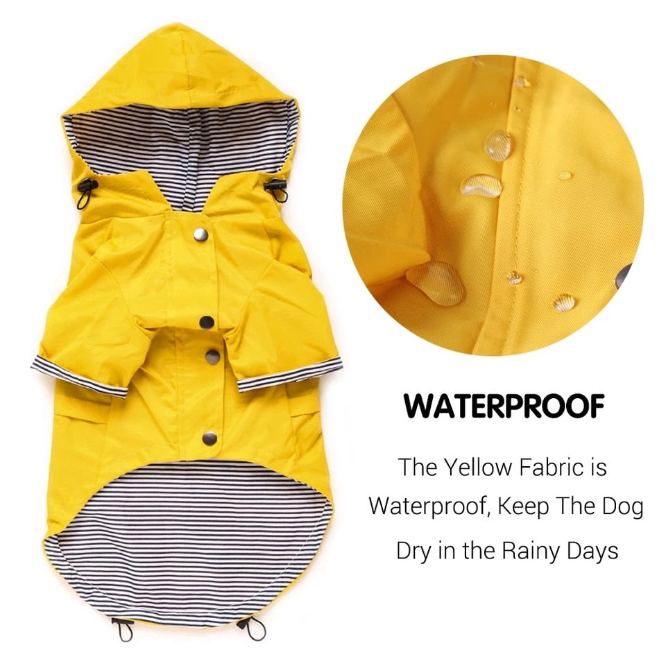 Waterproof Pet Jacket f