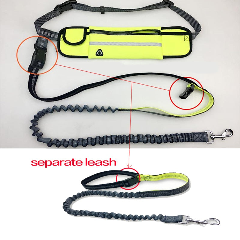 Reflective Hands Free Elastic Belt Pet Leash set with Waste Bag