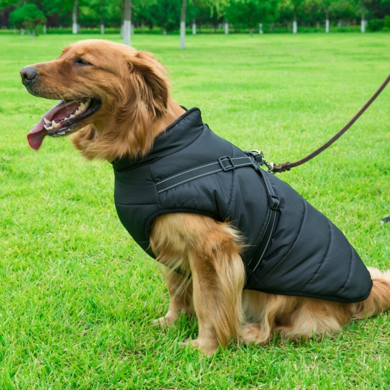 Winter Waterproof jacket With Harness for Dog