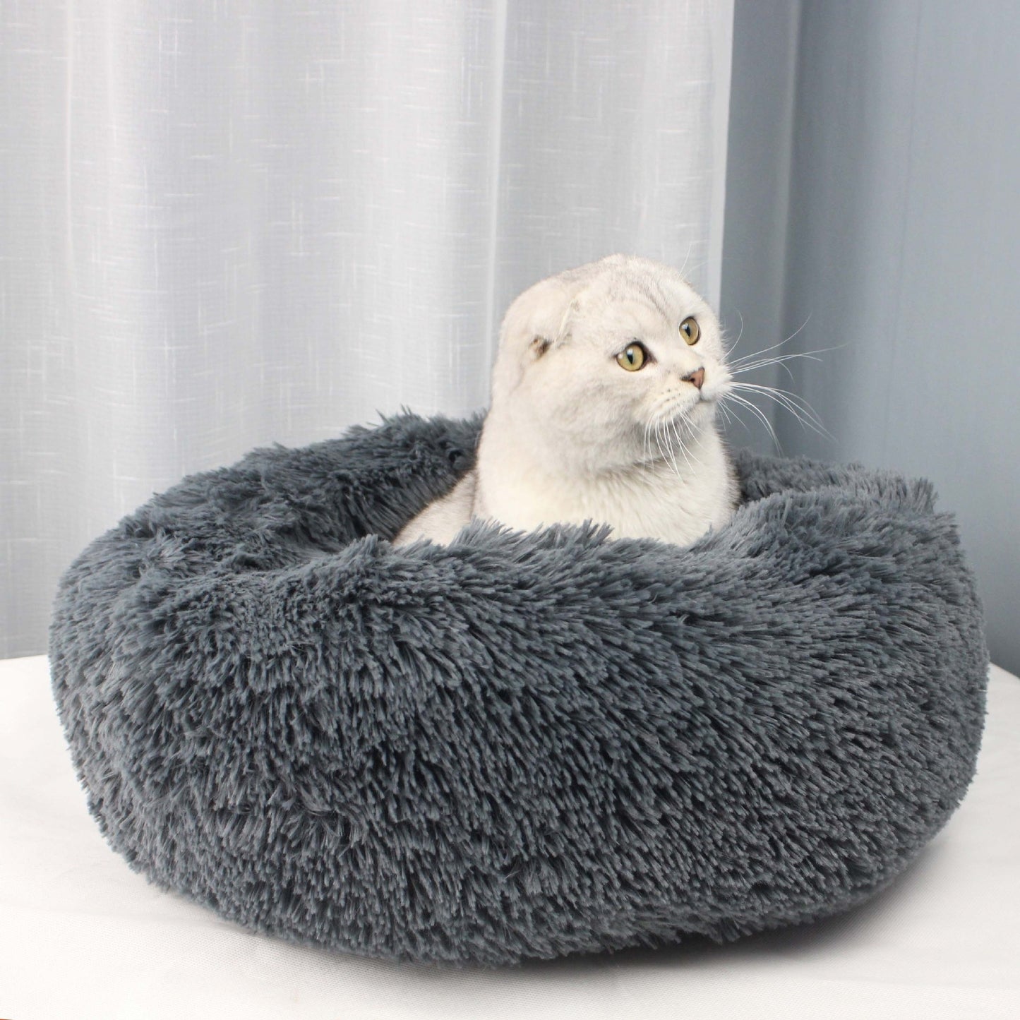 Super Soft Pet Bed