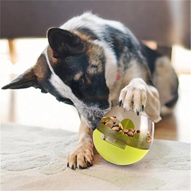 Interactive Food Dispenser Toy.