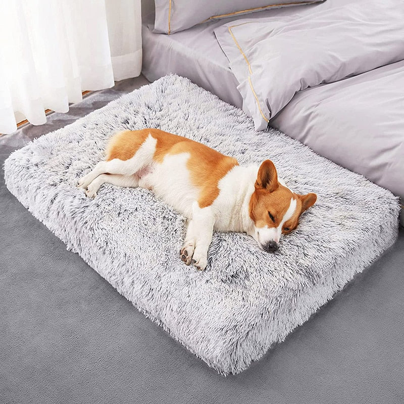 Plush Super Soft Calming Pet Bed