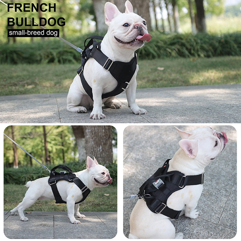 Adjustable Anti-lost Led Luminous Pet Harness