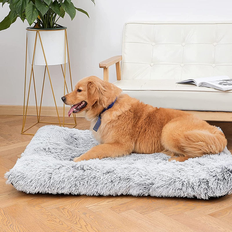 Plush Super Soft Calming Pet Bed