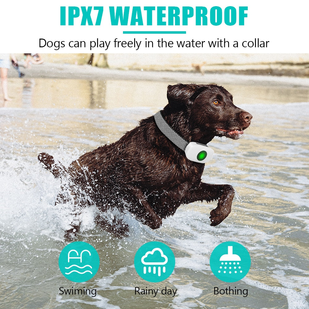 Dog Waterproof Rechargeable Electric Anti Bark Training Collar with Remote