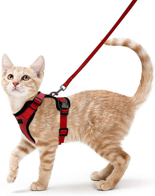 Escape proof Adjustable  Soft Mesh Small Pet Harness and Leash Set