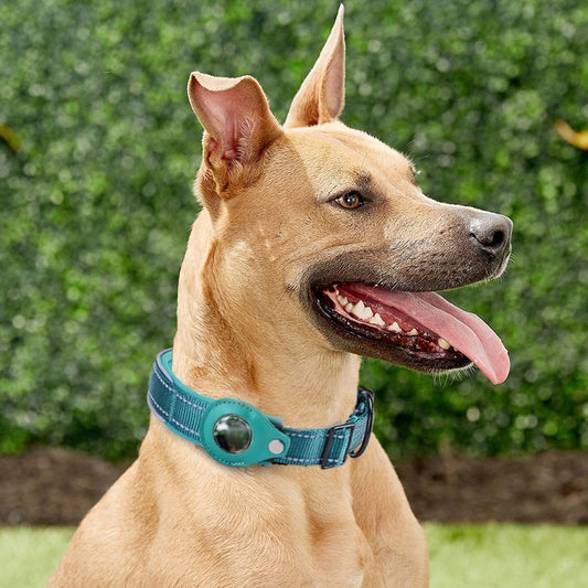 WaterProof Pet Collar For The Apple Airtag