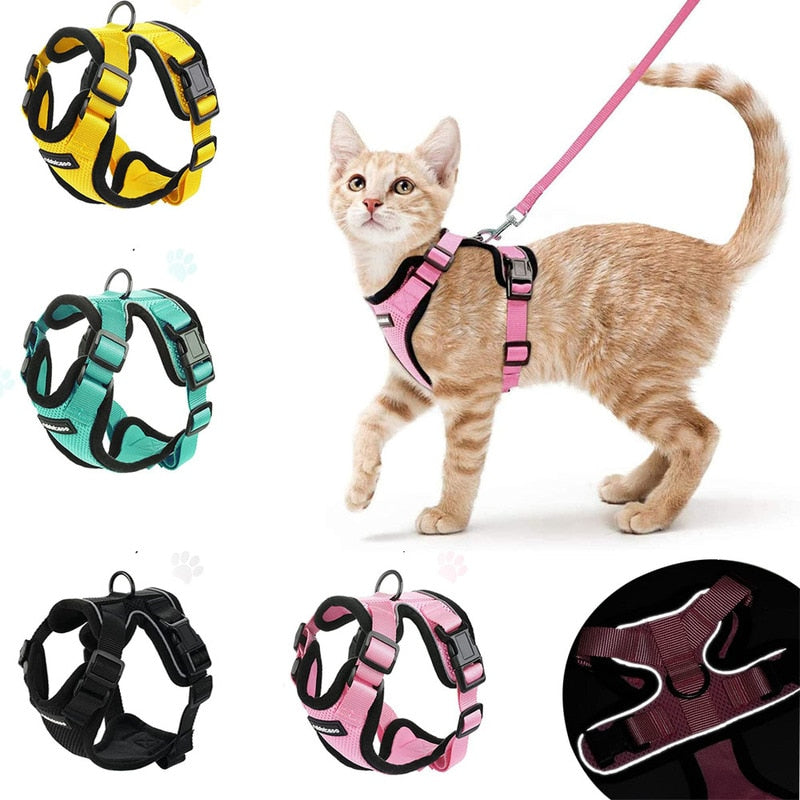 Escape proof Adjustable  Soft Mesh Small Pet Harness and Leash Set