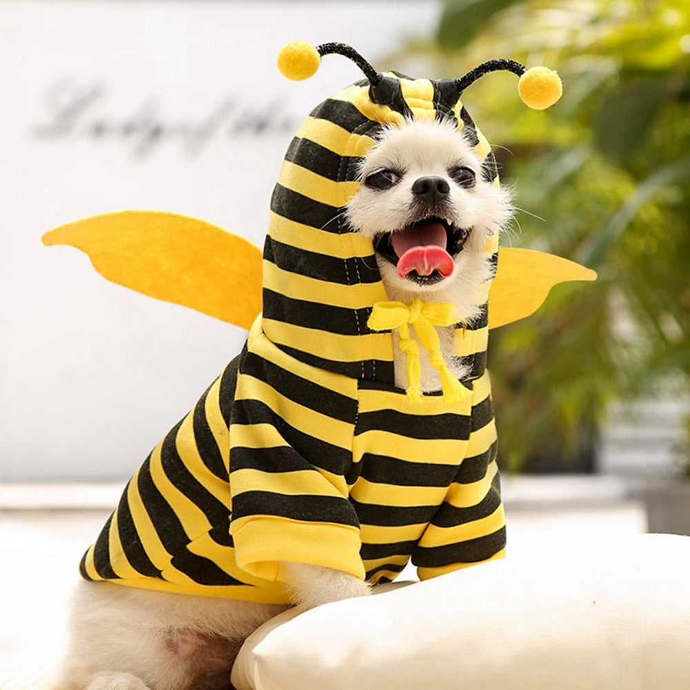 Bee Halloween Pet  Costume