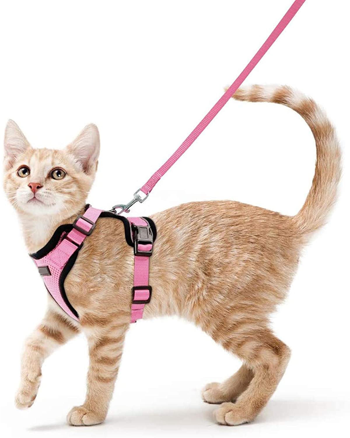 Escape proof Adjustable  Soft Mesh Small Pet Harness and Leash Set