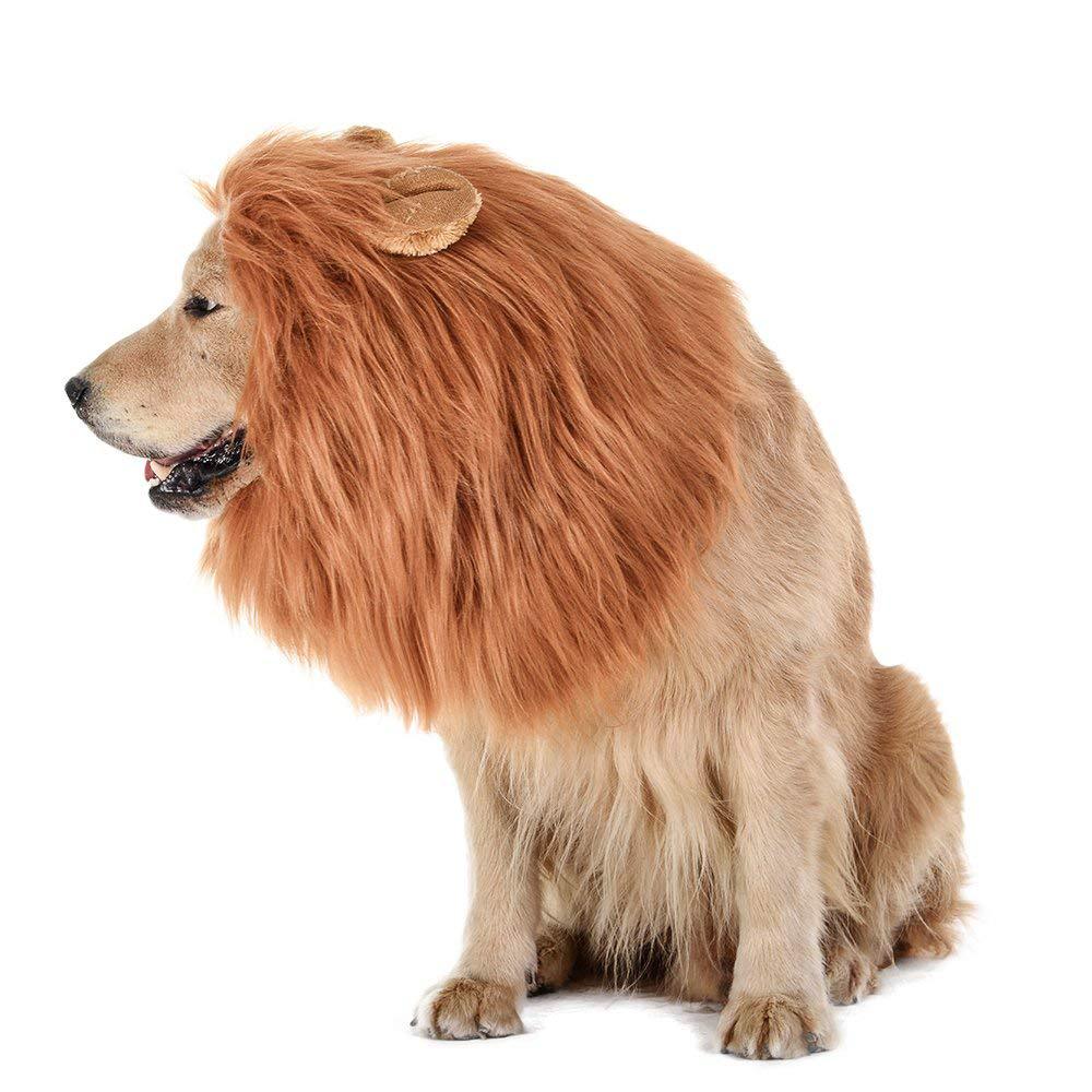 Large Dog Lion Mane Costume